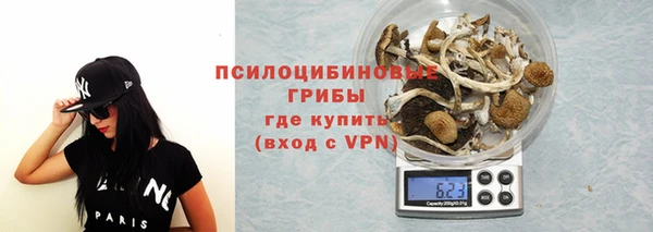 мескалин Лабытнанги